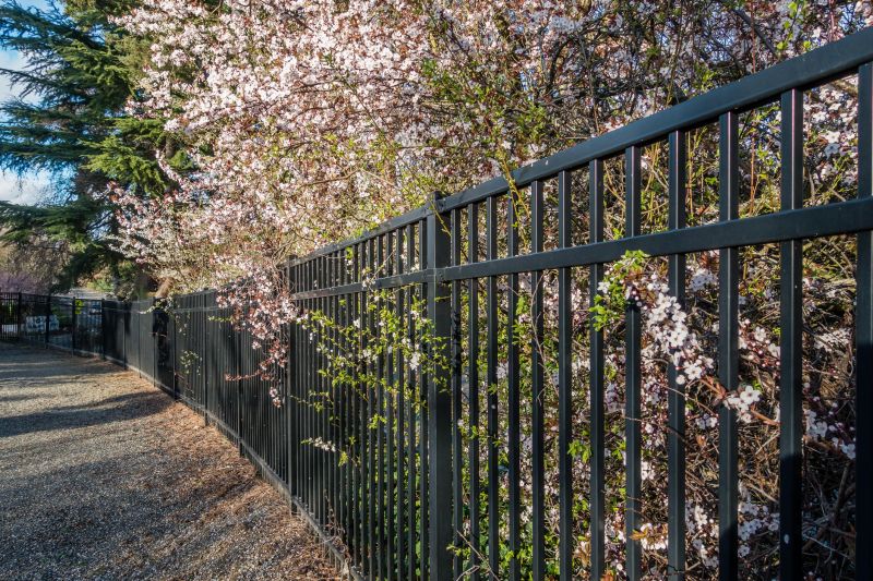 Black Metal Fence Installation in Pearland, TX