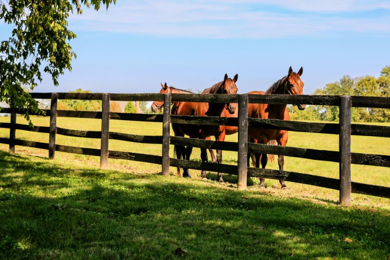 Horse Fence Replacement in Sacramento, CA